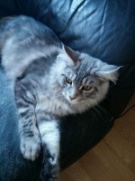 /album/jayzy-de-laf-/v-89cc-jpg/